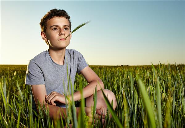 پرتره پسر مزرعه‌دار نوجوان در مزرعه گندم سبز در غروب آفتاب در برابر آسمان آبی روشن