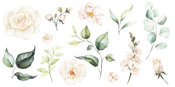 مجموعه تصویرسازی گل آبرنگ گل DIY مجموعه عناصر برگ سبز - برای دسته گل تاج گل ترتیبات دعوت نامه عروسی سالگرد تولد کارت پستال تبریک کارت آرم
