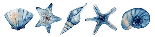 مجموعه ای از موجودات دریایی ستاره دریایی اقیانوسی و صدف آبرنگ آبی تصویر کشیده شده با دست