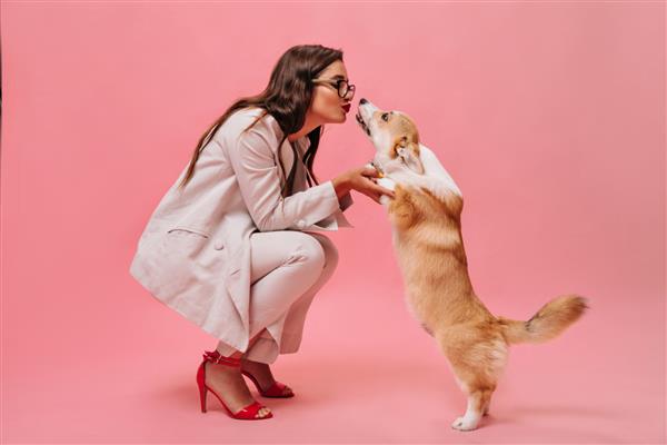 زن زیبا با لباس بژ با سگ در پس زمینه صورتی بازی می کند بانوی تجاری ناز با کت و شلوار شیک و کفش قرمز کورگی را می بوسد