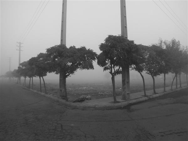 رازهای پاییزی سرزمین مه آلود 3