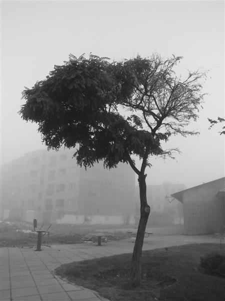 ایستاده در مه عکاسی سیاه و سفید