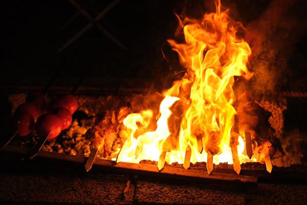 دود کباب باعث طغیان آتش است زندگی در طبیعت آشپزی در طبیعت عکاسی حرفه ای از غذاها