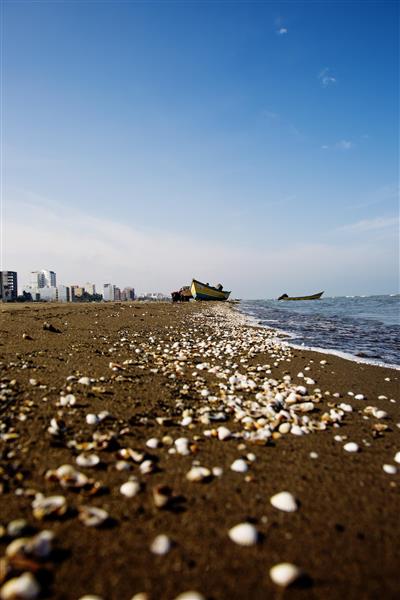ساحل زیبای خزر صدفها در ساحل عکاسی حرفه ای از مناظر طبیعی ایران عکاسی سه بعدی