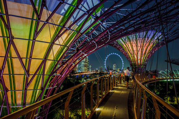 سنگاپور سنگاپور - 9 سپتامبر نمای شبانه Supertree Grove at Gardens By The Bay در سنگاپور در 9 سپتامبر 2013 گرفته شده است