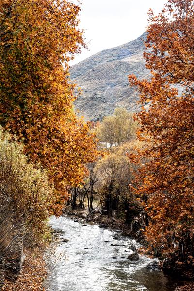 رودخانه و مناظر طبیعی در پاییز عکاسی از مناظر پاییزی رودخانه زیبا