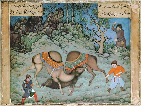 نگارگری مبارزه دو شتر، اثر عبدالصمد شیرازی، با الهام از بهزاد