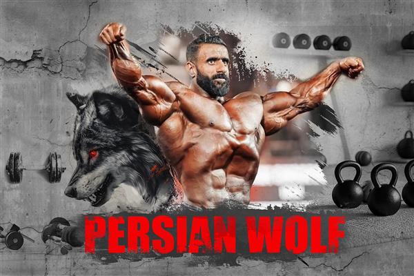 پوستر دیواری هادی چوپان با نوشته persian wolf