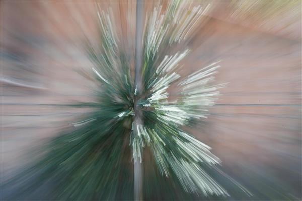 درخت سیب: عکاسی حرفه‌ای انتزاعی امپرسیونیسم با تکنیک دیجیتال از عناصر طبیعت