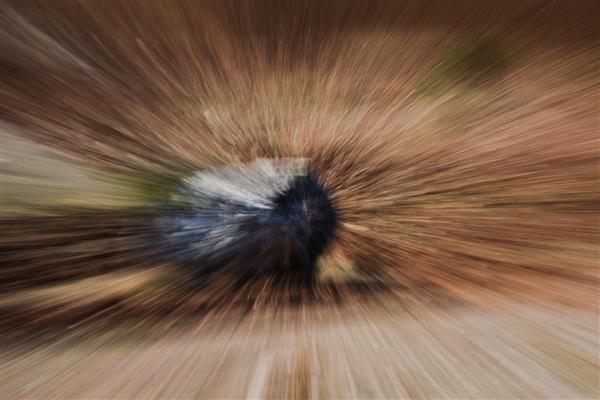 عکس سنگ آسمانی: عکاسی طبیعت ایران با کیفیت بالا