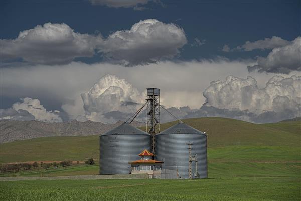 سیلوهای فلزی ذخیره غلات در دشت سرسبز زیر آسمان ابری طوفانی