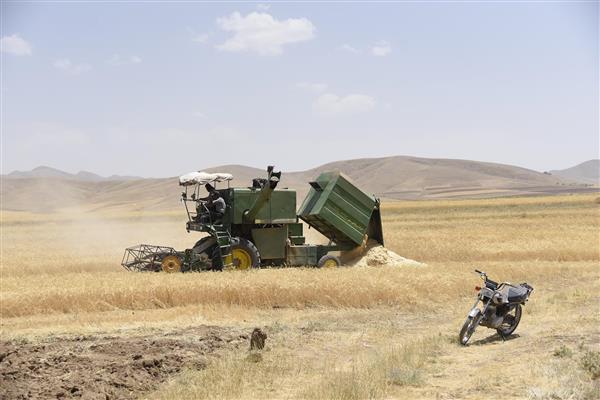 کمباین بزرگ سبز در حال برداشت گندم در مزرعه با موتور سیکلت در پیش‌زمینه