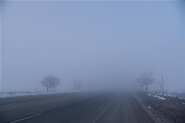 جاده آسفالته در دل مه غلیظ و برف کنار درختان لخت در زمستان