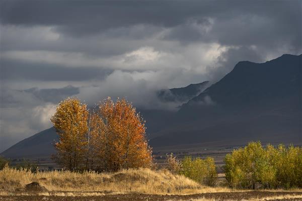منظره پاییزی درختان نارنجی در برابر کوه‌های مه‌آلود و آسمان ابری