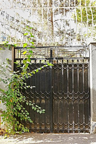 نمای بسته از یک در فلزی و مشکی قدیمی با طرح دایره‌ای در کنار یک درخت و بوته