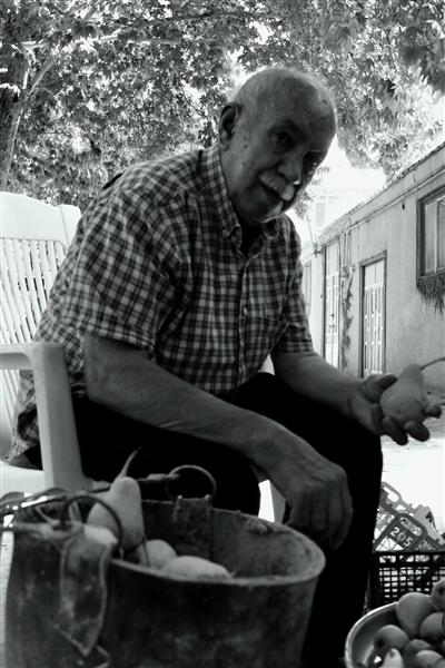 تصویر پرتره سیاه و سفید از کشاورز پیر با لبخند در حال کار و برداشت میوه