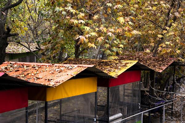 کلبه های زیبا در پاییز برگهای رنگارنگ