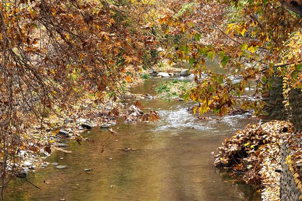 منظره پاییز و رودخانه زیبا