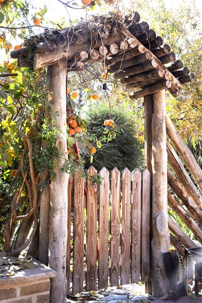 درهای چوبی قدیمی در پاییز