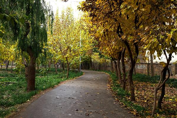 کوچه باغها در پاییز عکاسی از زیبایی ها در پاییز مناظر و چشم اندازهای طبیعت زیبا در پاییز