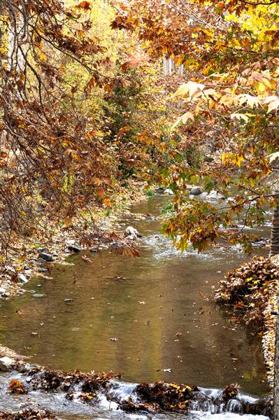 رودخانه و برگهای پاییزی زیبایی های طبیعت عکاسی از چشم اندازهای طبیعت در پاییز عکاسی حرفه ای