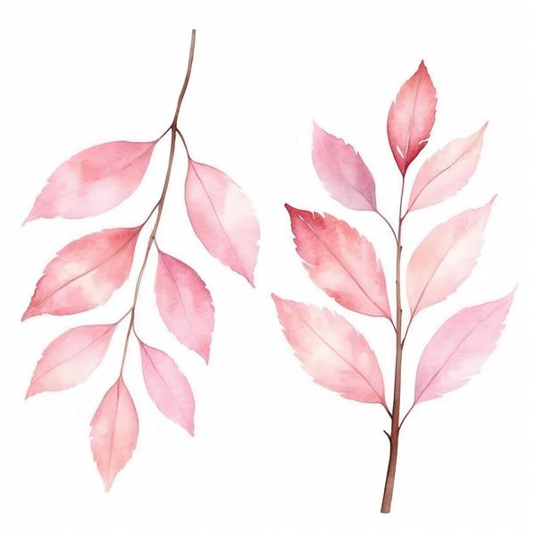 طرح برگ‌های صورتی پاییزی آبرنگی مینیمال باکیفیت برای دکوراسیون