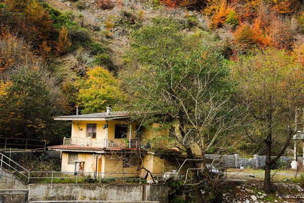 عکاسی حرفه‌ای از کلبه جنگلی در قلب جنگل‌های هیرکانی شمال در فصل پاییز