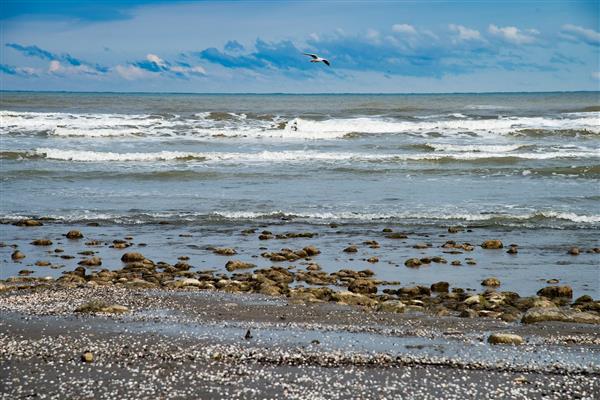 ساحل دریای خزر و پرواز مرغ‌های دریایی در نمک‌آبرود مازندران