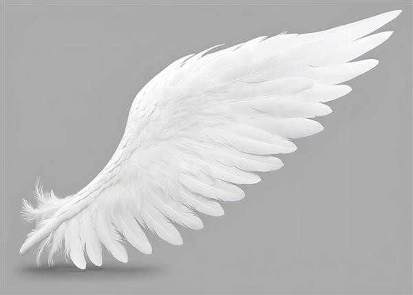 تصویر باکیفیت بال سفید فرشته در زمینه طوسی ویژه طراحی پوستر دیواری مینیمال و چاپ روی پرده و کوسن