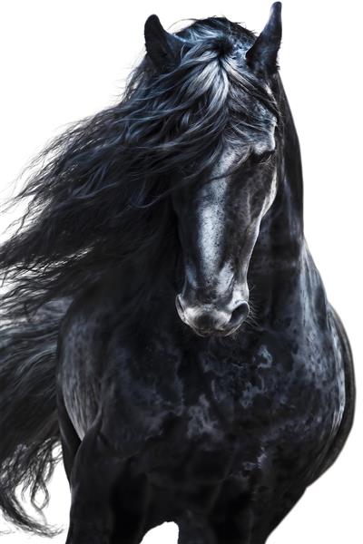 پوستر دیواری مدرن اسب سیاه در حال دویدن با یال‌های بلند مناسب برای دکوراسیون مینیمال نشیمن و اتاق خواب