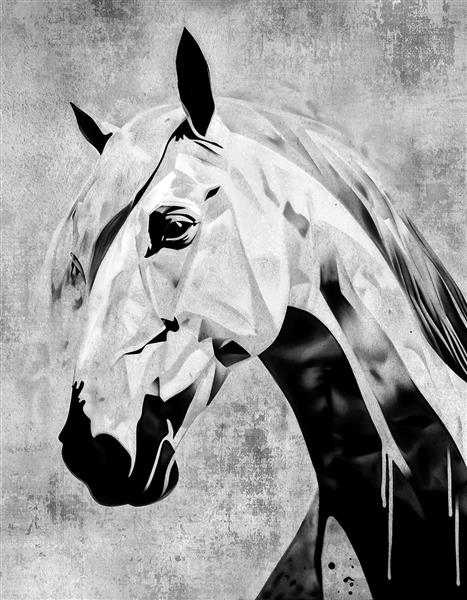 پوستر دیواری مدرن و مینیمال چهره اسب با سبک گرافیکی سیاه و سفید مناسب برای فضاهای اداری و اتاق جوان