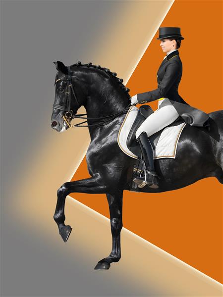 پوستر دیواری مدرن سوارکار حرفه‌ای و اسب سیاه با طراحی گرافیکی انتزاعی ویژه دفتر کار و سالن‌های ورزشی