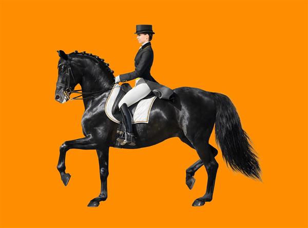 تصویر سوارکار زن با اسب سیاه در زمینه نارنجی مناسب برای تابلو دکوراتیو و پوستر دیواری باشگاه سوارکاری