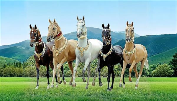 عکس باکیفیت از دویدن گله اسب‌های اصیل با نژادهای مختلف در دشت سرسبز و کوهستان ویژه پوستر دیواری عریض سالن‌های بزرگ و ویلا