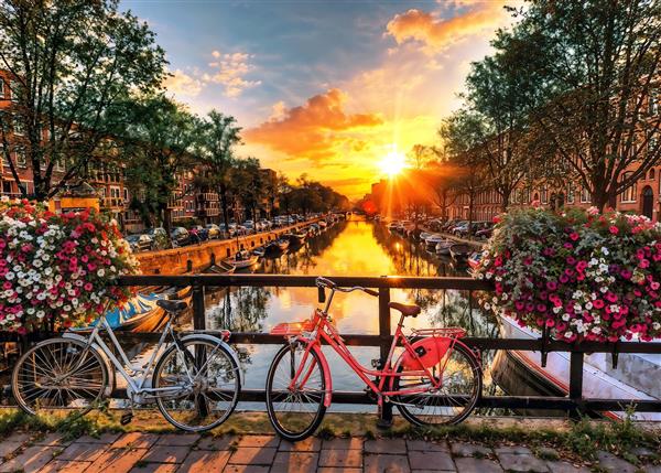 منظره غروب رویایی آمستردام با دوچرخه‌های روی پل و گل‌های شمعدانی مناسب برای اتاق خواب و سالن نشیمن