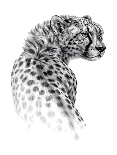 طرح سیاه و سفید یوزپلنگ ایرانی با جزئیات ظریف برای تابلو دکوراتیو و پوستر دیواری اتاق خواب و دفتر کار مدرن