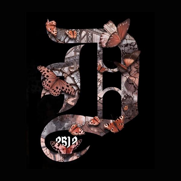 طرح گرافیکی حرف D لاتین با تزئین پروانه و بافت سنگی ویژه پوستر دیواری مدرن، تابلو دکوراتیو اتاق جوانان و چاپ روی تیشرت و هودی