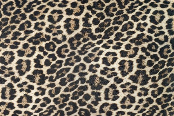 پوستر دیواری با طرح پوست پلنگ وحشی مناسب دکوراسیون بوتیک و مزون‌های لباس لوکس