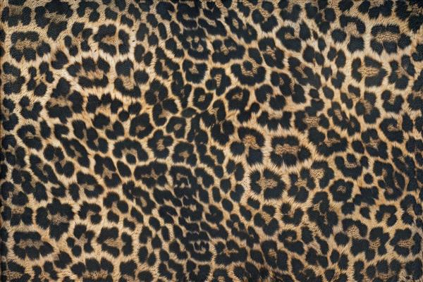 طرح تکرار شونده پوست پلنگ با کنتراست بالا برای چاپ روی محصولات چرمی