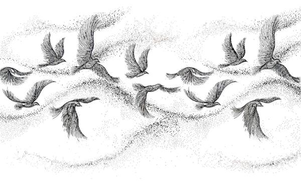 نقاشی سیاه و سفید پرندگان در حال پرواز برای پوستر دیواری اتاق خواب و راهرو منازل مدرن