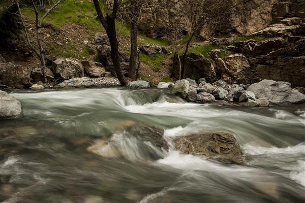 رودخانه خروشان در جنگل طبیعت ایران