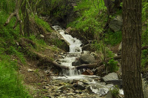 آبشار زیبا در طبیعت جنگل تابستانی طبیعت ایران