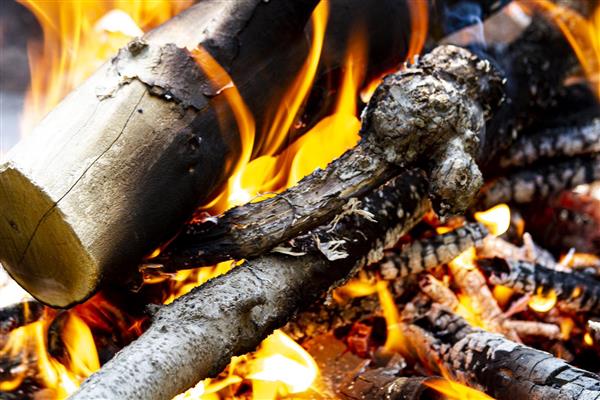 آتش سوزان و چوب های جنگل