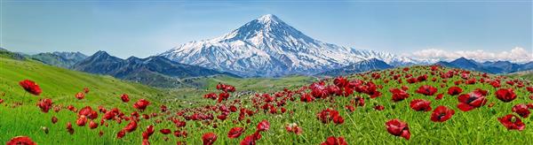 پوستر دیواری پانوراما از دشت شقایق و کوه دماوند ایران مناسب برای سالن پذیرایی و دفاتر رسمی