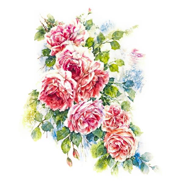 تصویر آبرنگی دسته گل رز صورتی و سرخ برای چاپ روی روتختی بزرگسال و پرده تصویری اتاق خواب با قابلیت استفاده به عنوان پوستر دیواری ملایم و رمانتیک