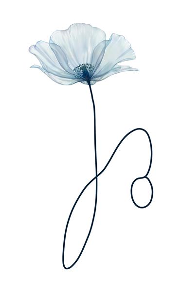 طرح خطی و مینیمال گل آبی شفاف مناسب برای پوستر دیواری مدرن محیط‌های اداری و کلینیک‌های زیبایی