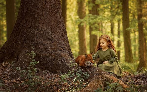 تصویر رویایی دختربچه و روباه در جنگل پاییزی مناسب برای پوستر دیواری اتاق کودک، مهدکودک و کتاب داستان