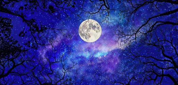 منظره کهکشانی و آسمان پر ستاره با قاب درختان کهن مناسب برای پوستر دیواری اتاق خواب و لابی هتل