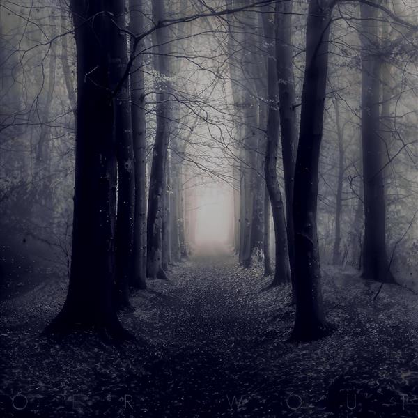 جاده‌ای مه‌آلود در میان درختان بلند جنگل تاریک و سیاه و سفید برای چاپ پوستر دیواری مینیمال و دکوراسیون اداری و هتل