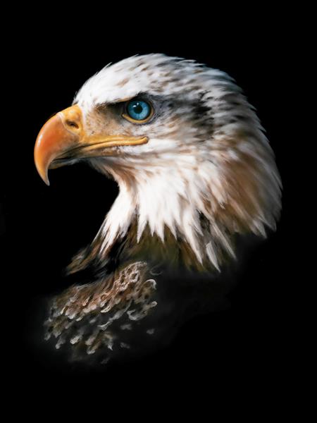 طرح گرافیکی سر عقاب با چشمان آبی خیره‌کننده برای چاپ روی تیشرت، ماگ و پوستر دیواری اتاق کار